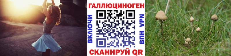 МЕГА вход  Белая Калитва  Псилоцибиновые грибы прущие грибы  сколько стоит 